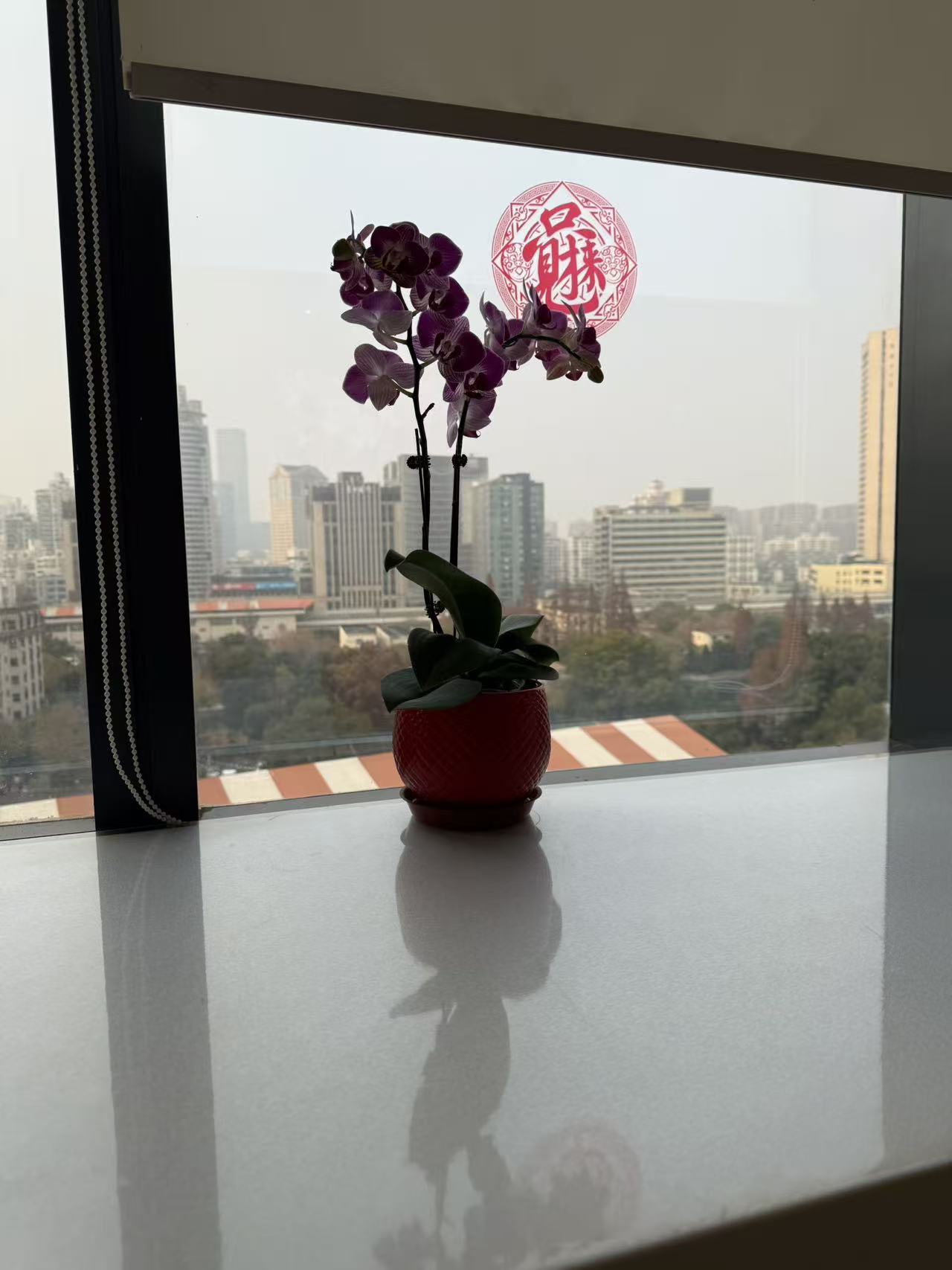 上海瑶驰汽车销售服务有限公司